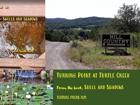 Turning Point at Turtle Creek